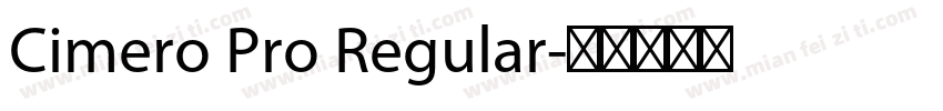 Cimero Pro Regular字体转换